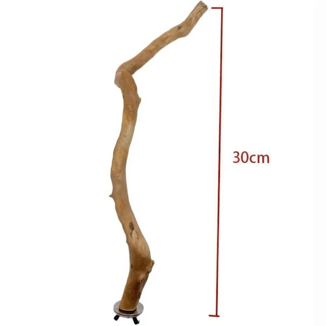 Holz Papagei Vogelständer Sitzstangen Haselnuss Vögel Wellensittich Spielzeug! 2