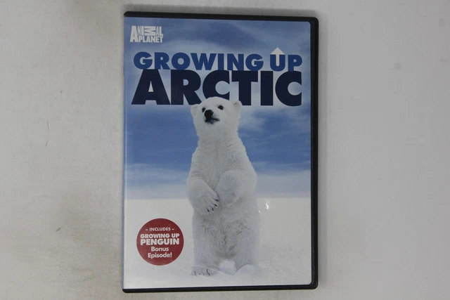 ANIMAL PLANET GROWING Up Arctic DVD $13.59 - PicClick CA