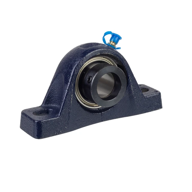 INA RASE60XLN Unità blocco cuscino a due bulloni 60 mm foro
