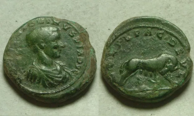 Genuine Ancient Roman coin Diadumenian Deultum Thrace She-wolf/Romulus/Remus 217