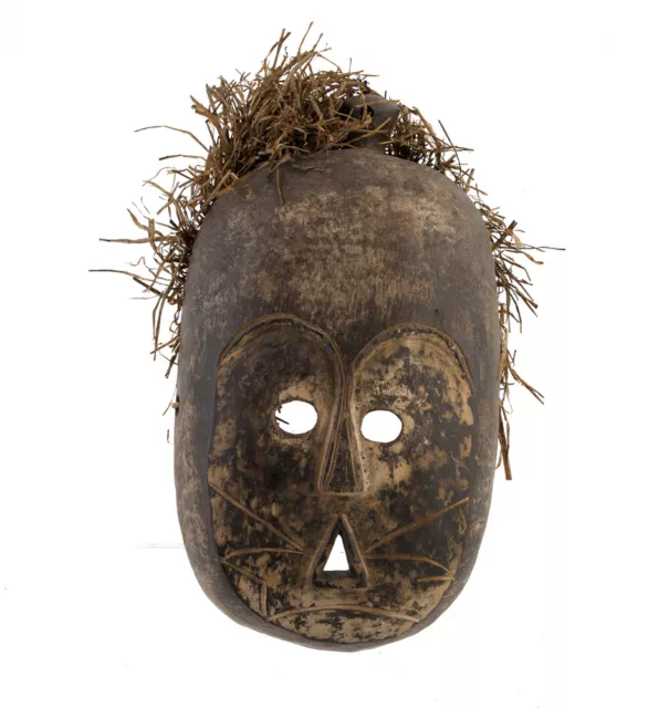 Maske Afrikanisch der Fang, Gabun Art Stammes- Erster Primitive D'Afrika 1000