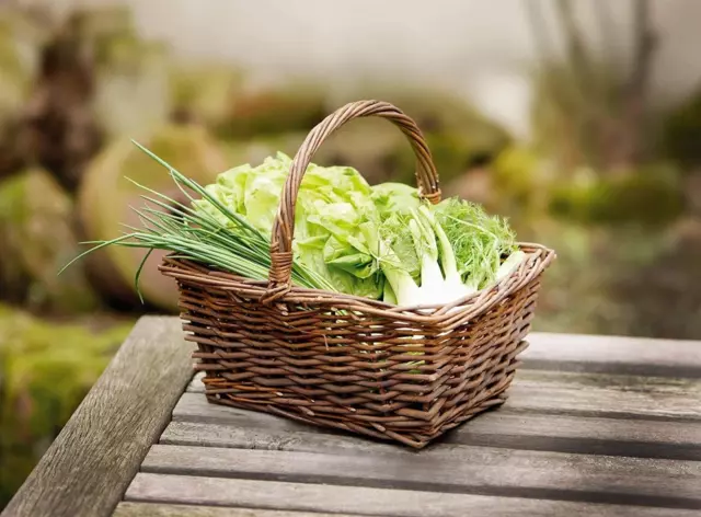 Bügelkorb eckig aus Weide, braun, Ernte Obst Pilz Sammel Trage Flecht Korb