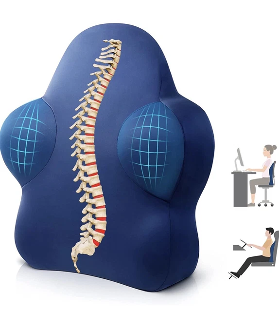 Cozyhealth Lumbar Support Pillow for Office Chair, Memory Foam Back Support