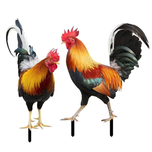 Hahn Huhn Statue Outdoor Garten Dekoration Hof Kunst Figur Skulptur Dekor