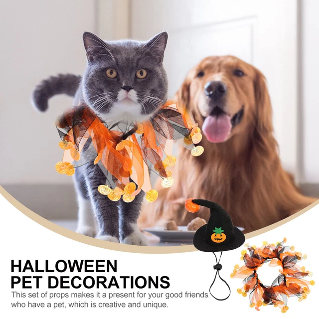 1 Set Halloween Haustierkostüm Lustige Katzenhut Katzenhund Schal Dekorative 4