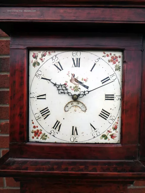 Georgian antique scumbled pine faux yew 30 hour birdcage movement longcase clock