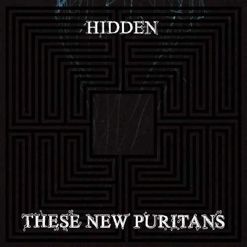 These New Puritans - Hidden - These New Puritans CD 02VG The Cheap Fast Free The