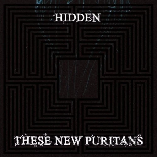 These New Puritans - Hidden - These New Puritans CD 02VG The Cheap Fast Free The