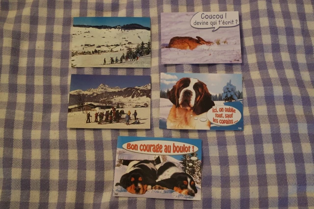 Carte Postale Ski dans les Pyrénées | Le Bourlingueur