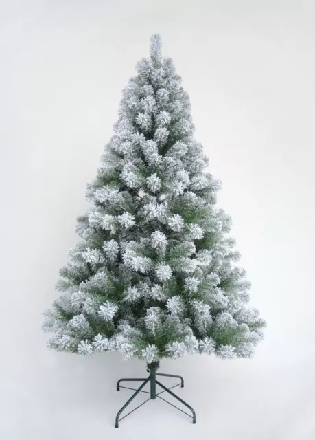 Christmas Tree Xmas Colorado Spruce 4ft 5ft 6ft 7ft 8ft or 10ft Free Delivery