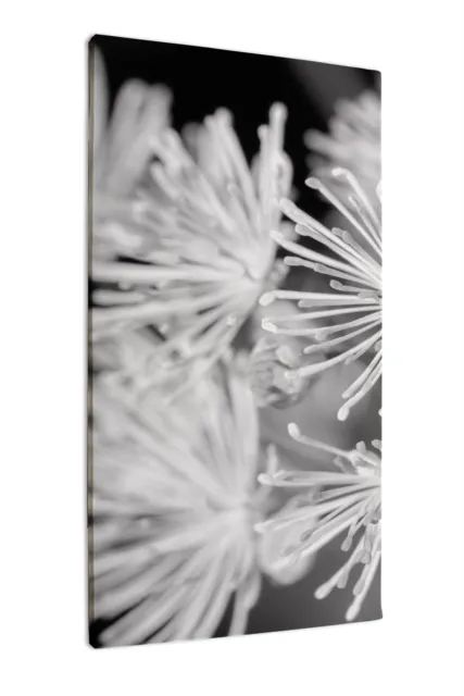 Leinwandbild Kunst-Druck Nahaufnahme der Blumen 50x100 cm