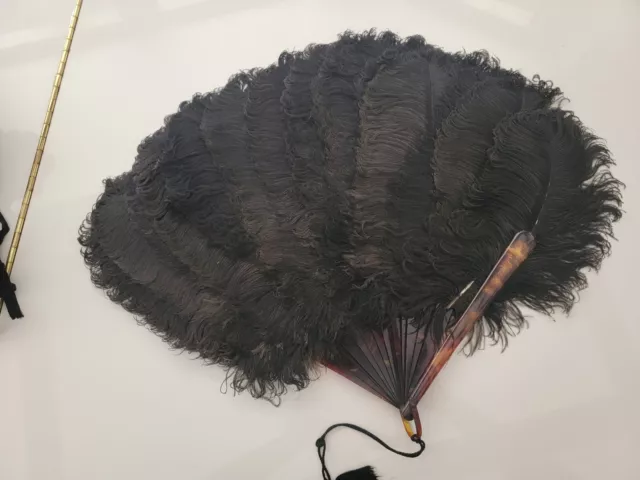 Victorian Black Ostrich Feather Fan And Tortoise Shell Handle - Large