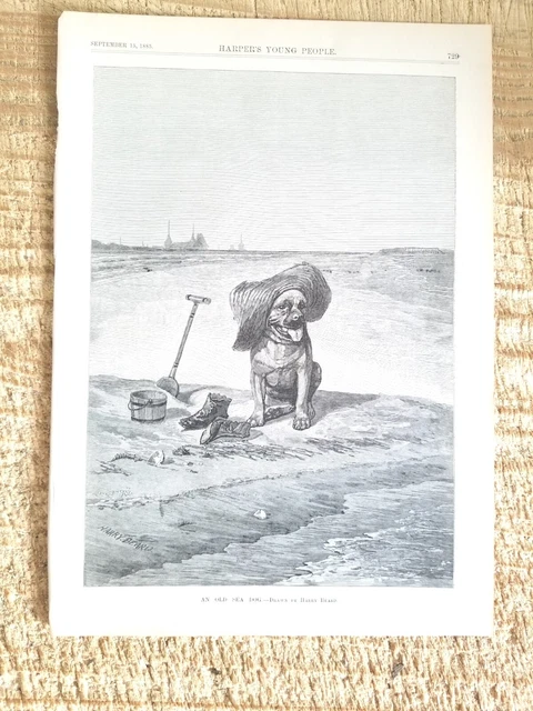AN OLD SEA DOG.VTG 1885 HARPER'S 11" x 8" ENGRAVING PRINT*85