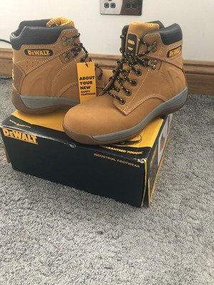 dewalt apprentice honey