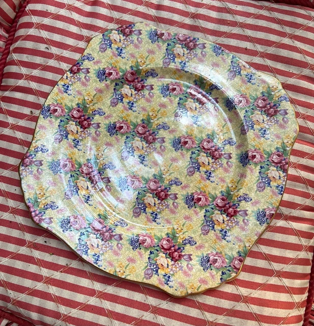 Yellow chinz Royal Winton Grimwades Welbeck Vintage 1995  Dinner  four plates 7