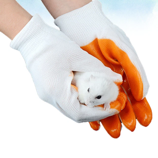 Sugar Glider Bonding Pouch guantes de gato el gato mascota