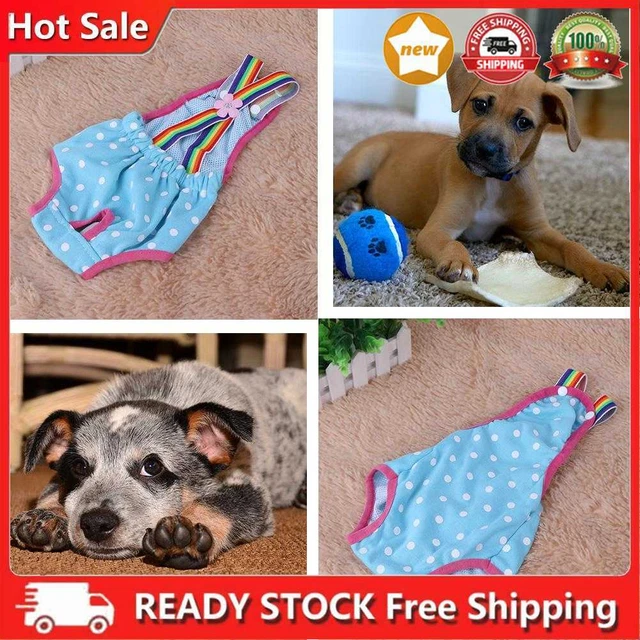 Pañales de higiene para perros, pañales para perros, pañales, pañales de higiene, para cachorros, M