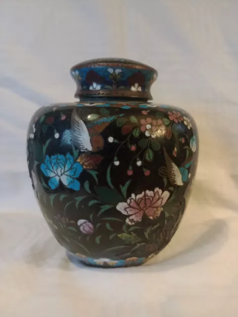 Late Qing Period Chinese Famille Noir Cloisonne Lidded Ginger Jar