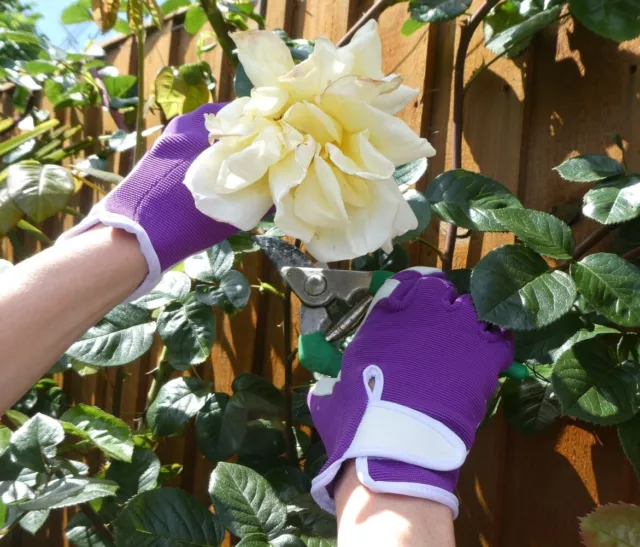 3 Pr Pack - Ladies Purple Gardening Gloves Quality Soft Leather Girls Garden Glo 2