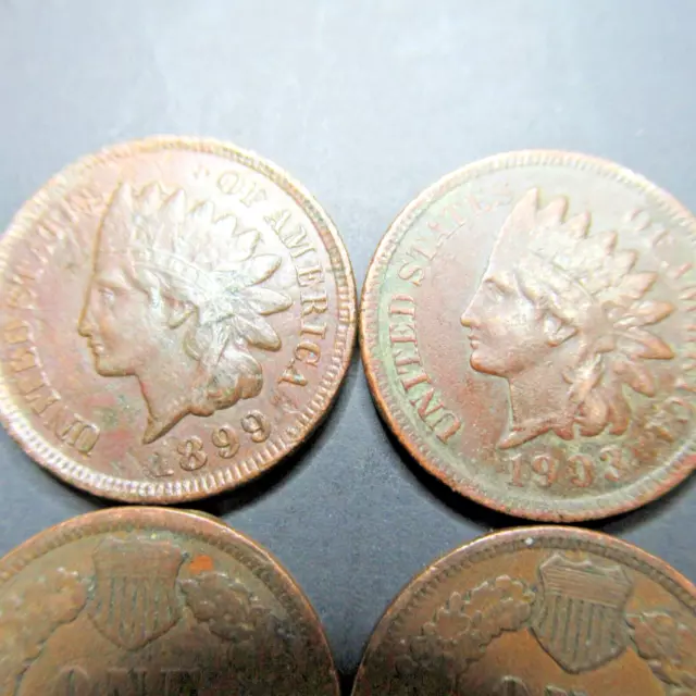 Roll Of 50 Indian Head Pennies In A Bank Of Montana Coin Wrapper