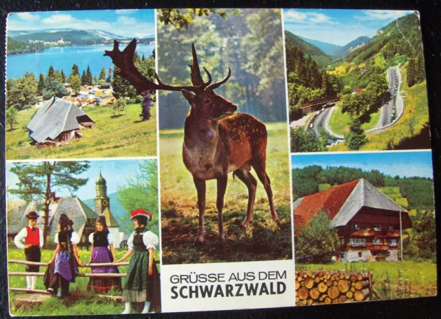 German postcard Schwarzwald Greetings from the Black Forest, posted 1971