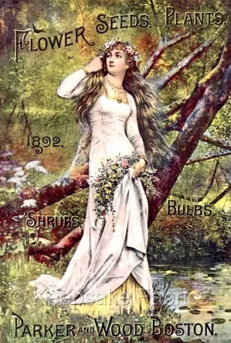 Boston Flowers Seed Catalog Lady Quilt Block Multi Szs FrEE ShiPPinG WoRld WiDE