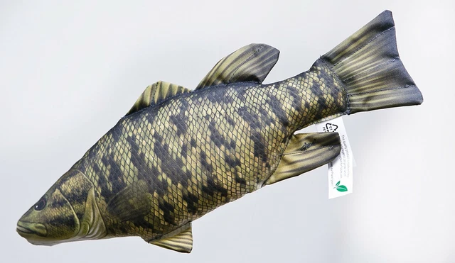Coussin Poisson Clown GABY | Humour de Pêcheur