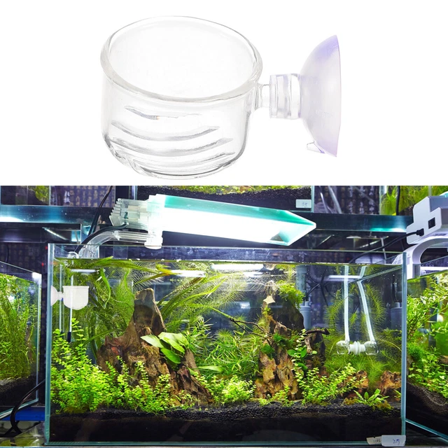 2 piezas alimentador de gusano rojo vaso ventoso plantas de acuario plato de alimentación de camarones