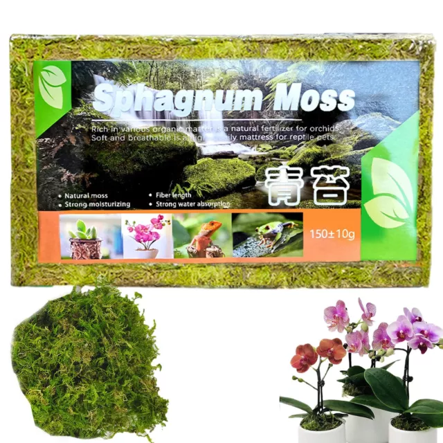 Natural Sphagnum Moss Orchid Potting Mix For Orchid Gardening Plants Reptile