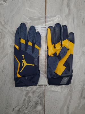 Michigan jordan gloves Clearance