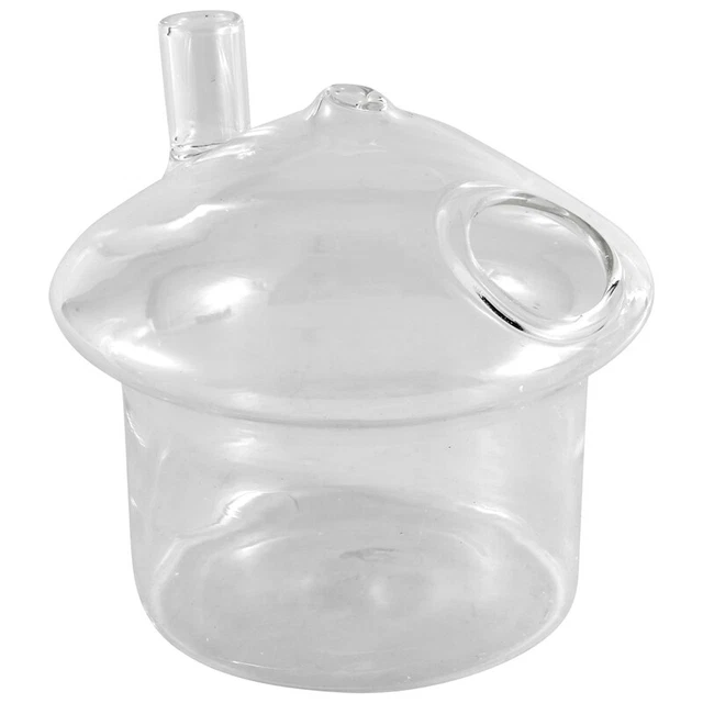 Vaso a forma di vetro sospeso fioriera rombo pesce acquario terrario B2D9