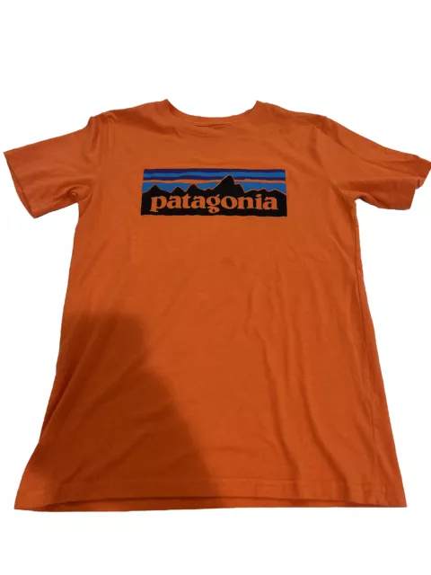 PATAGONIA LIVE SIMPLY Guitar Music Logo Graphics Outdoor Tee T-Shirt Boys L  - 12 £19.59 - PicClick UK