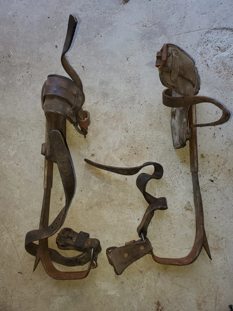 Buckingham Bell System Pole Tree Climbers Equipment Climbing Spike Gaff PAIR VTG