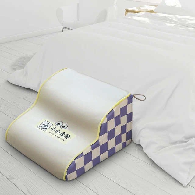 Rampe Pour Chien, 2 En 1 Escaliers Pour Animaux De Compagnie