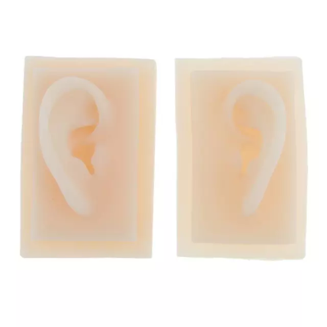 1 Pair 1:1 Silicone   Acupuncture Ear Model Anatomy Educational Tool