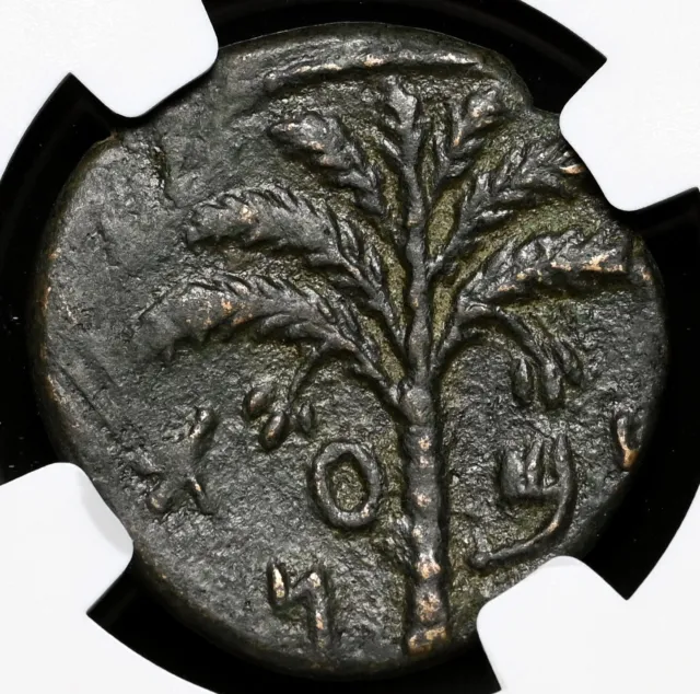 JUDAEA. Bar Kokhba Revolt, AD 132-135. Middle Bronze, struck AD 134-5, NGC Ch VF