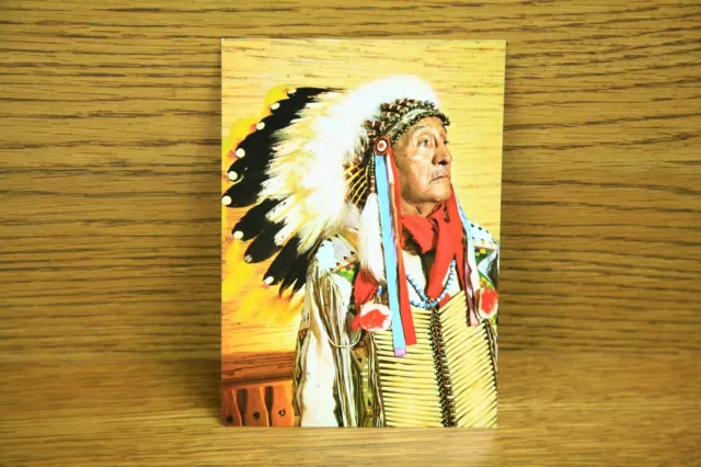 Postkarte AK Sioux Indianerhäuptling "Großer Elch" Native  Amerika -70er Vintage