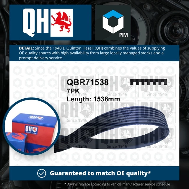 Cintura di trasmissione 7 costole multi V adatta a HONDA CR-V Mk3 RE 2.0 06 a 12 QH 31110RSAG02 Nuova