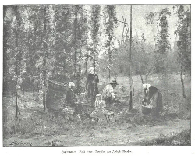 "Hopfenernte" Bier-Brauerei-Hopfen Original Holzstich von 1900