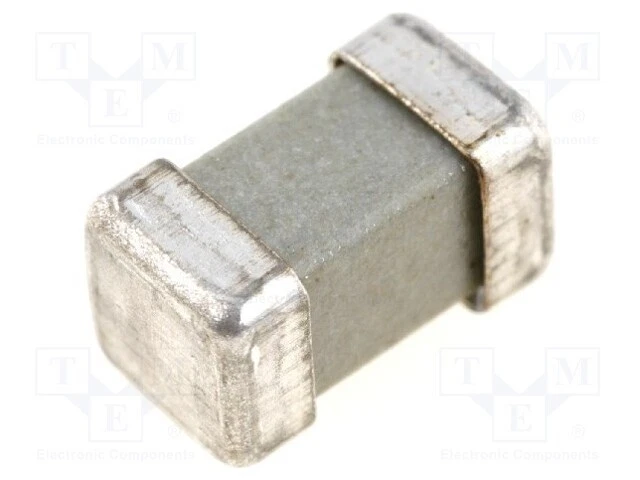 Sécurité : Schmelz Fusible 250V SMD Céramique 1,6A 8x4, 5x4, 5mm 160000.1, 6 8x4