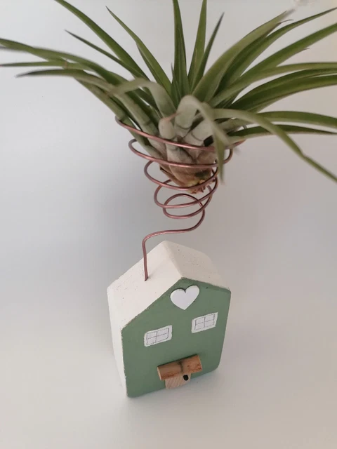 Happyyami Gancio per Piante Aria Tillandsia Supporto Sospeso Resistente
