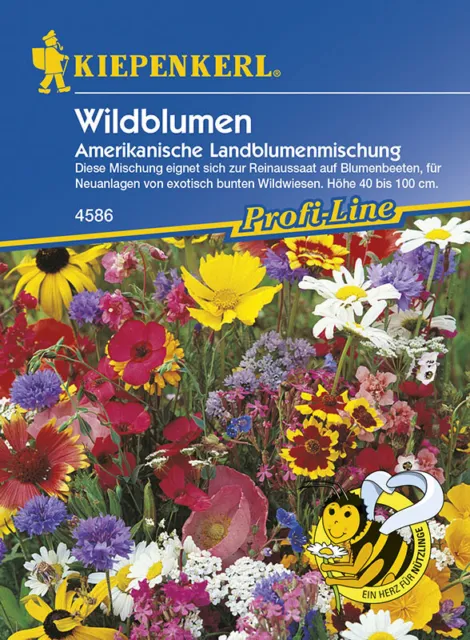 Wildblumen  Amerikanische Landblumenmischung ein-und mehrjährig   Samen  4586