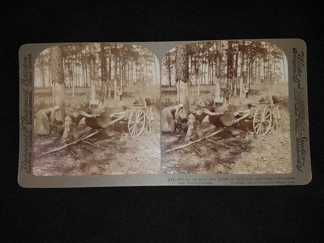 Stereoskopie Westwood USA 1905 North Carolina