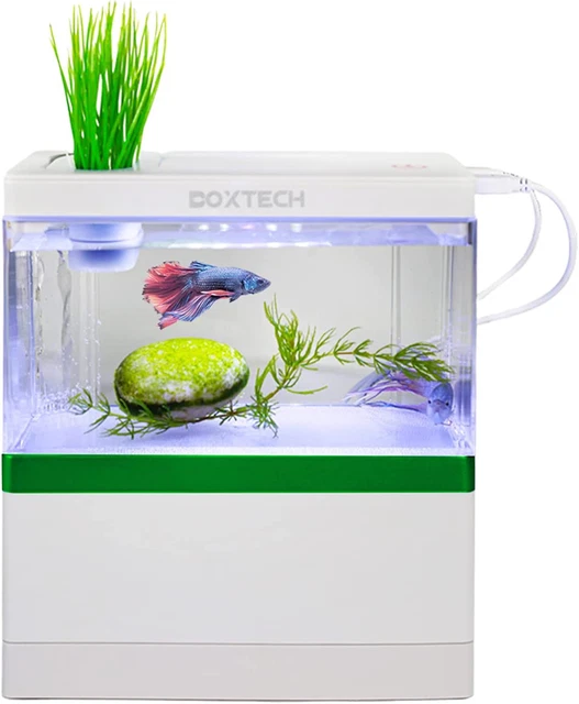 Fish Tank Desktop Aquarium Kit,1.1 Gallon Betta Acrylic Fish Bowl with USB Power