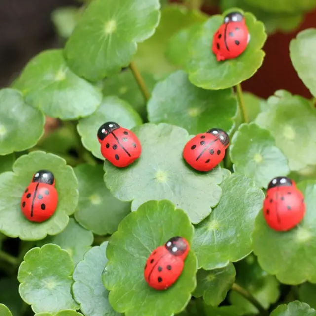 20Pcs Mini Ladybug Fairy Garden Miniature DIY Micro Landscape Deco Ornament Sell