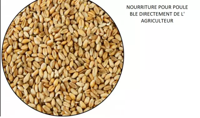 5 kg de mélange graines céréales Bio certifié pour volaille, poules etc.