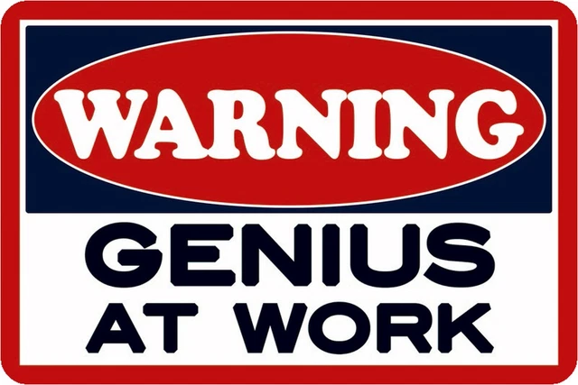 SCHILD SPRUCH WARNING Genius At Work Genie Am Werk 20 X 30 Cm 