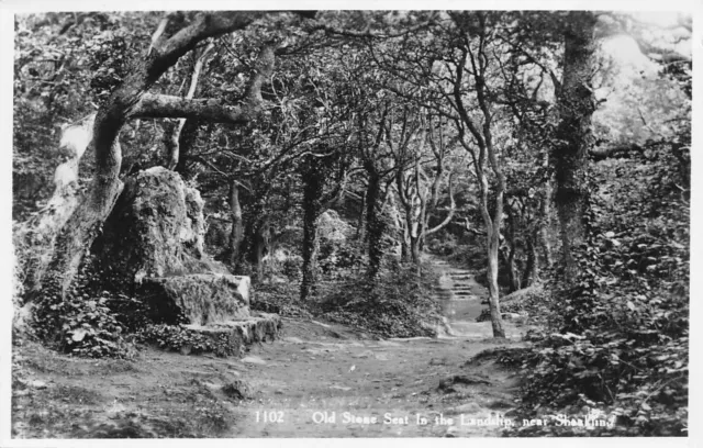 Old Stone Seat in the Landslip Nr Shanklin IOW RP Postcard (E900)