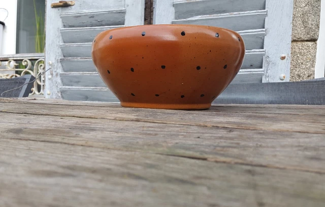 Lot Ancien Casserole Et Petit Plat émaillé Rouge à Pois Blancs - Style Shabby