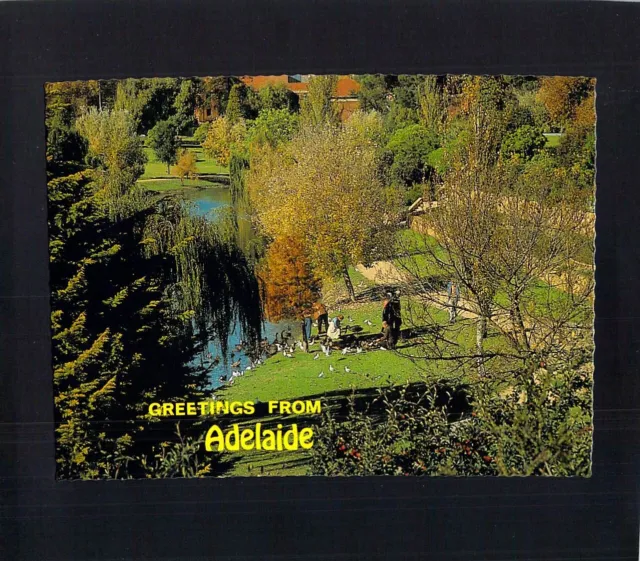 D1230 Australia SA Torrens River Adelaide near Zoo postcard